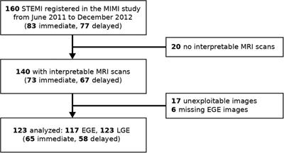Pixel-wise statistical analysis of myocardial injury in STEMI patients with delayed enhancement MRI